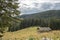 Old mountainside log cabin in Bucegi National Park