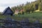 An old mountainside log cabin surrounded by trees and grass in Tara national park in Serbia