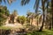 Old mud houses and palm tree in the old village of Al Hamra
