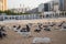 Old muslim graveyard in Mecca city - Jannat al-Mualla. Pigeons and doves in Jannatul-Mualla