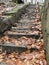 old mysterious whimsical staircase and the last fallen leaves