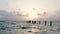 Old Naples, Florida, Sunset and pier in the Gulf of Mexico with a wooden pier and many perched birds, pelicans