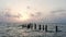 Old Naples, Florida, Sunset and pier in the Gulf of Mexico with a wooden pier and many perched birds, pelicans