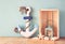 Old nautical wood anchor, lantern and shells on wooden table over wooden aqua background