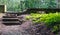 Old neglected stone stairs in the forest