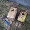 Old and new birdhouses