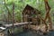 Old nipa hut with a wooden bridge in the forest of the Philippines.