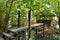 Old nipa hut with a wooden bridge in the forest of the Philippines.