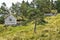 Old Norwegian houses, grass and moss on the roof