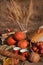 Old novels book, apples in a basket, a couple of cups on an autumn picnic, autumn still life, the concept of coziness in a rural