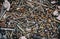 Old nuts rusty metal screws and spare parts background, vintage style with noise image