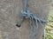 Old nylon ship ropes tied to knot bound around cement electrical post on ground flooring closeup.