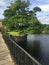 An old oak tree, a bridge, a moat