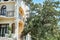 Old oak tree grows through terrace of vintage building