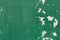 Old obsolete green plastered wall background texture