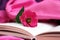 Old open book with romantic pink flower