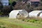 Old open dilapidated large garden greenhouses made of broken metal pipes partially covered with cracked semi transparent nylon