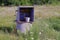 Old open well with a bucket among grass and vegetation