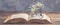 Old opened book, heart shaped paper sheets, iron bicycle with flowers on wooden background toned vintage selective focus