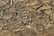 Old OSB boards are made of brown wood chips sanded into a wooden background. Top view of OSB wood veneer chipboard background, ti