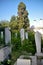 Old Ottoman graves in the EyÃ¼p Cemetery in Istanbul