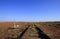 Old outback Australian railway tracks