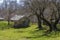 Old outbuildings in a rural Tennessee setting