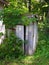 Old Outhouse and Ivy