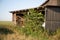 old overgrown barn overgrown with plants