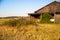 old overgrown barn overgrown with plants