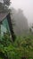 Old overgrown cottage in the fog. Gardening. Country plot.