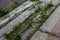 Old overgrown with destroyed stone balustrades old antique steps of a stone staircase. Ruined stairs. The dilapidated building,