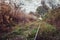 Old overgrown railway in autumn