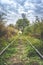 Old overgrown railway in autumn