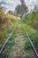 Old overgrown railway in autumn