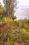 Old overgrown railway in autumn