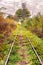 Old overgrown railway in autumn