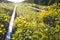 Old overgrown railway tracks in spring time