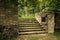 Old overgrown stone stairs in the park