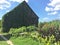 Old overgrown wooden barn and blue sky