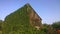 Old overgrown wooden barn and blue sky