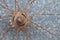 Old oxidized and damaged bicycle wheels, bushing detail