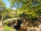 The old packhorse bridge at lumb hole falls a waterfall in woodland at crimsworth dean near pecket well in calderdale west