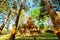 Old pagoda with teak trees in Pa Sak temple