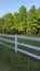 Old Painted White Fence Line