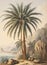 An old painting of a palm tree in vintage style