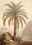 An old painting of a palm tree in vintage style