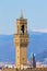 Old Palace bell tower detail view, Florence.