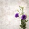 Old paper background with dark violet eustoma flowers and buds