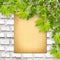 Old paper listing on white brick wall with bright foliage